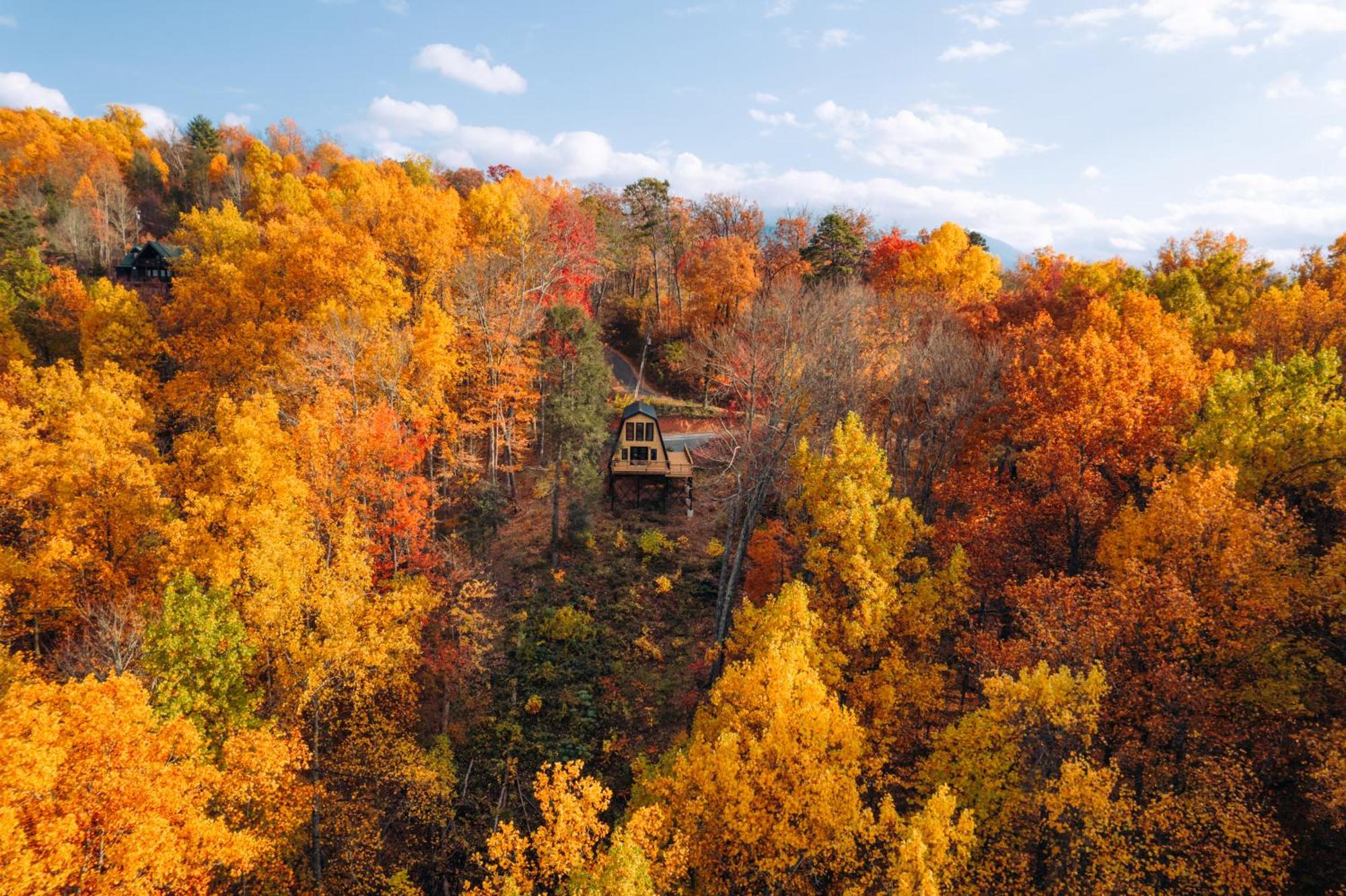 فيلا Secluded Mtn View New! 10 Mins To Gatlinburg Or Park المظهر الخارجي الصورة