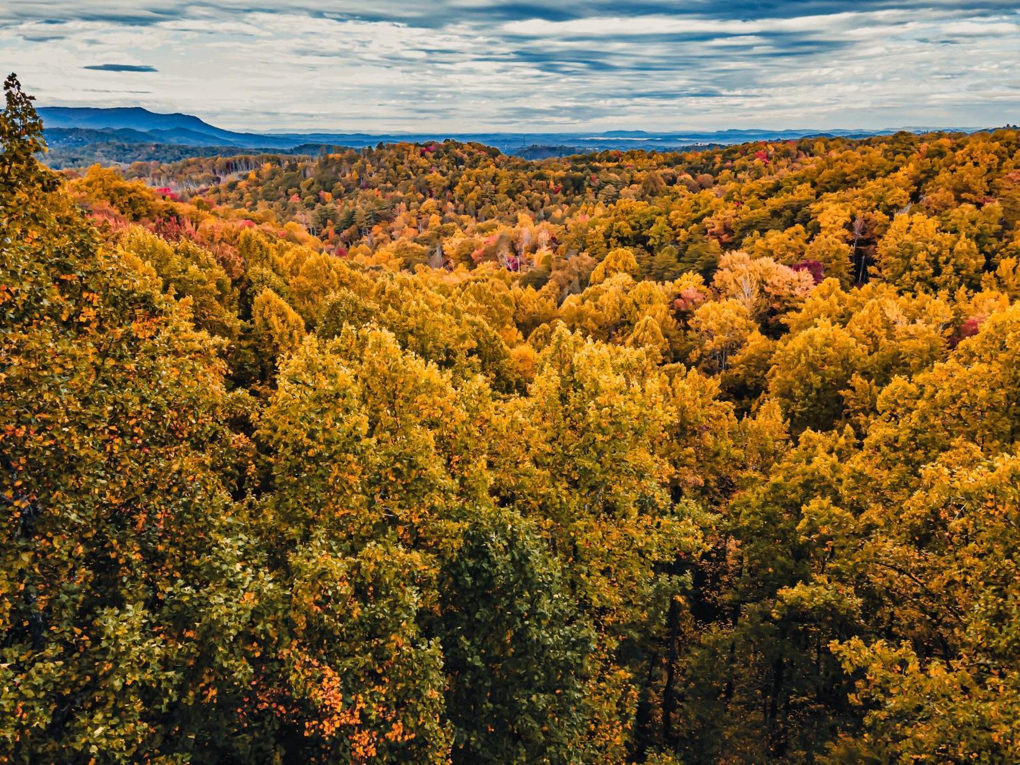 فيلا Secluded Mtn View New! 10 Mins To Gatlinburg Or Park المظهر الخارجي الصورة